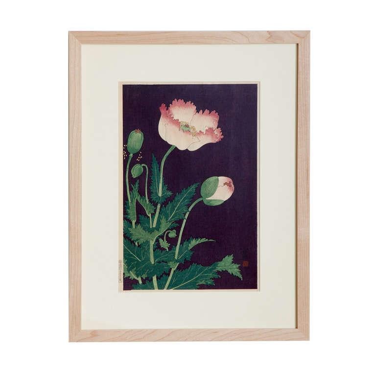 Japanese Showa Botanical Print of Poppies In Excellent Condition For Sale In New York, NY