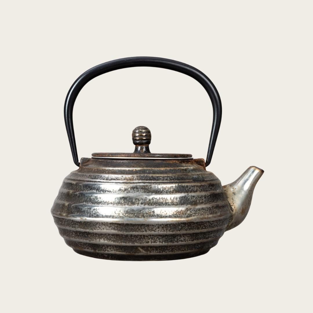 Japonais Théière japonaise en fer argenté en vente