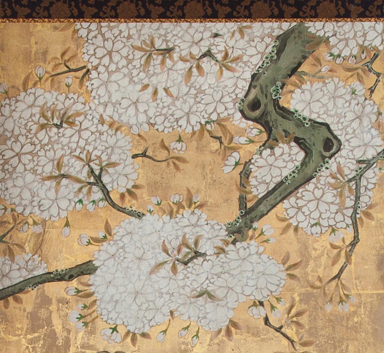 Japanese Six Panel Screen Cherry in Bloom in Flowering Spring For Sale ...
