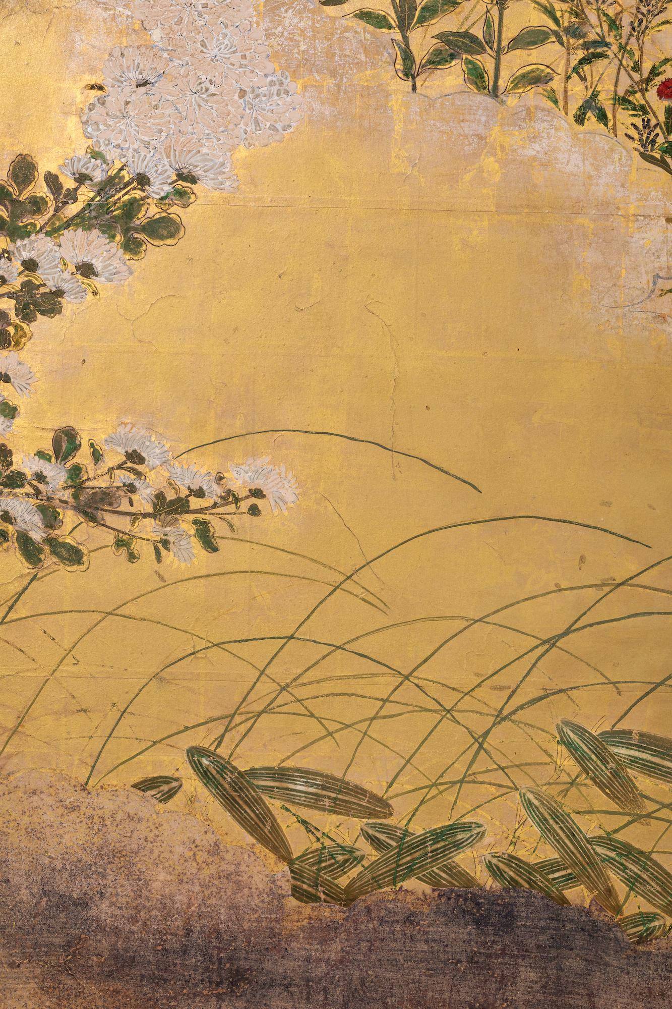 Paper Japanese Six Panel Screen: Rimpa Painting of Autumn Flowers and Grasses on Gold For Sale