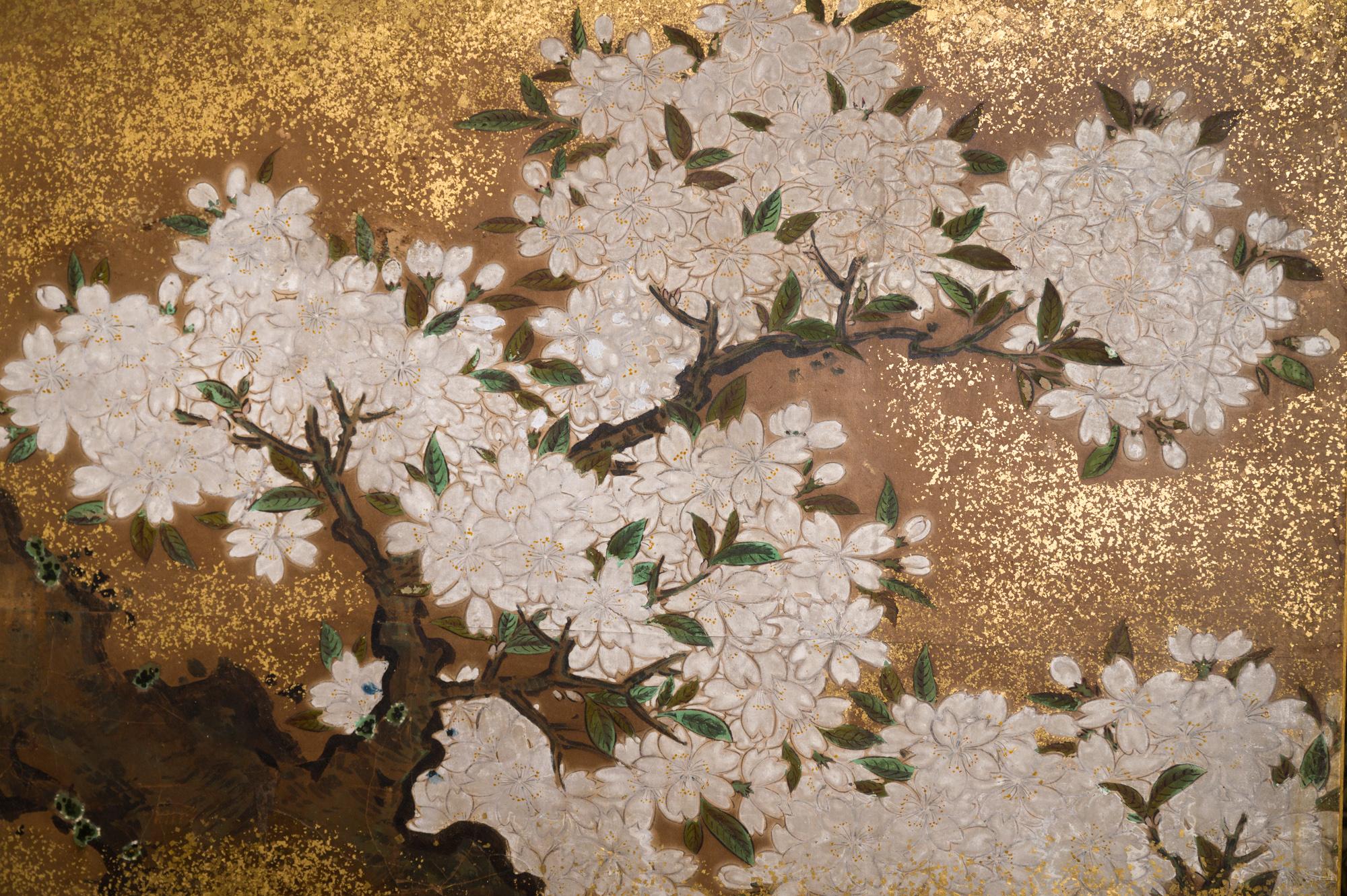 Japanese Six Panel Screen Cherry Tree on Mulberry Paper 10