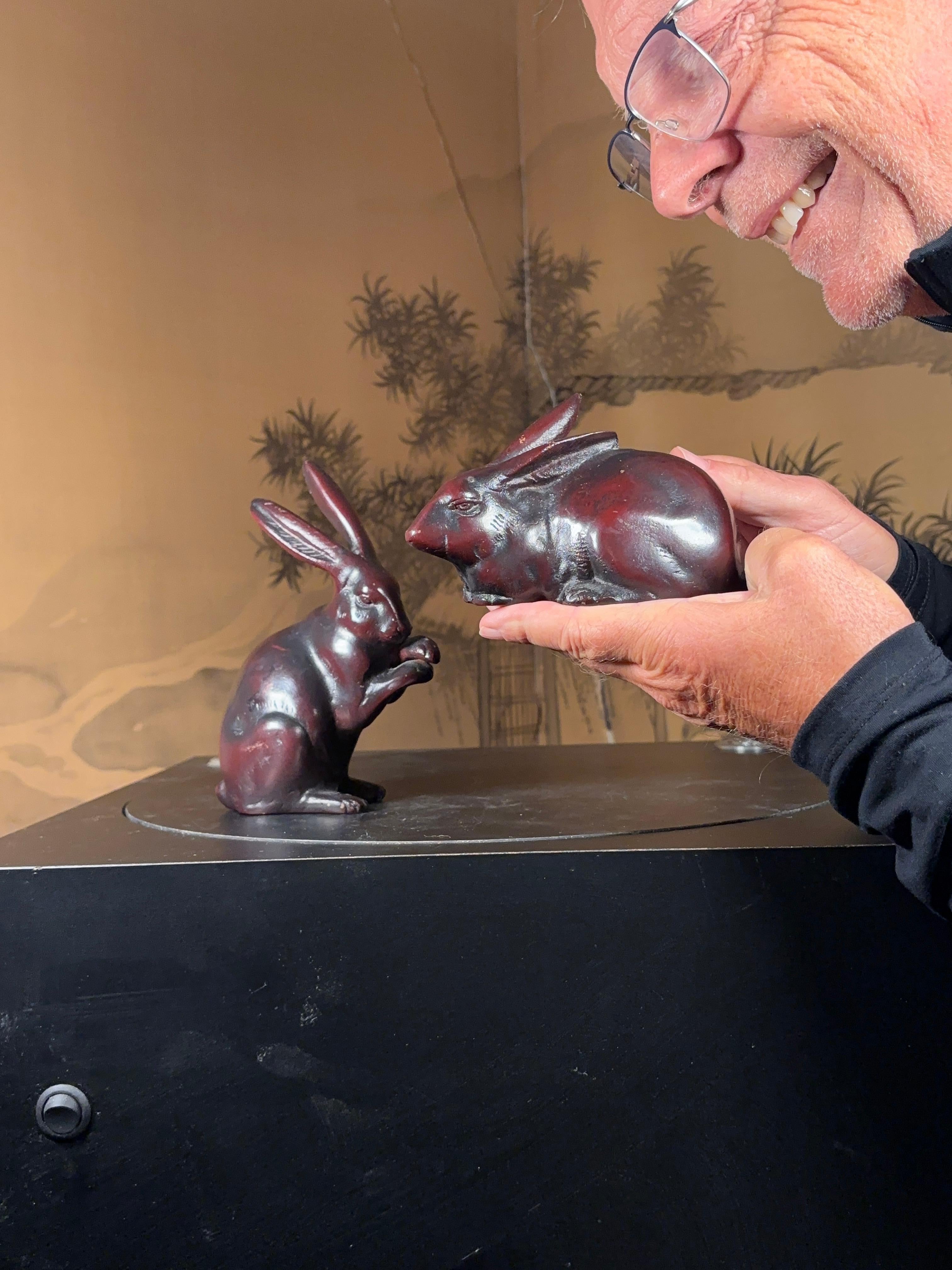 Rara coppia di conigli 