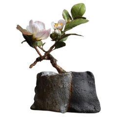 Japanische Stewartia von Yumiko Kuwahata / Bonsai / wabi-sabi