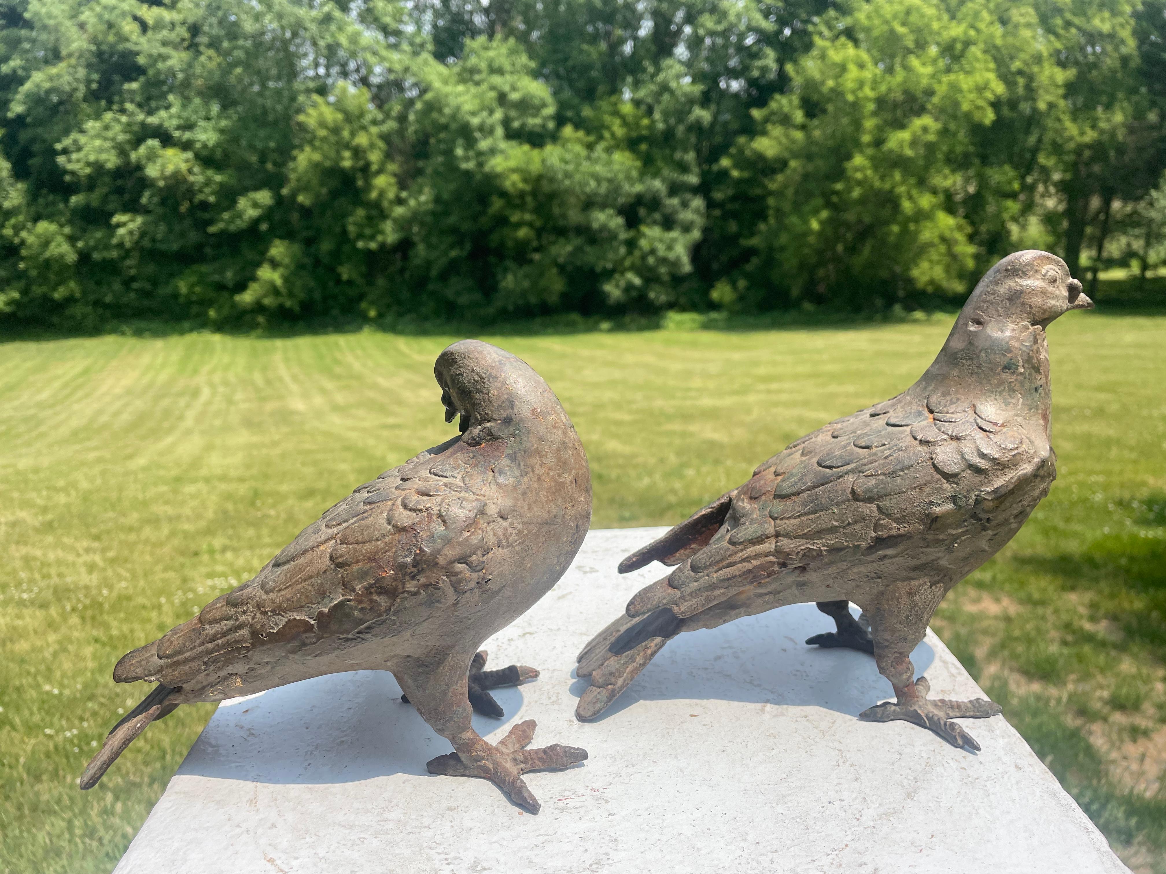 Japanese Antique Hand Cast Pair Bronze Pigeons, Beautiful Details 2