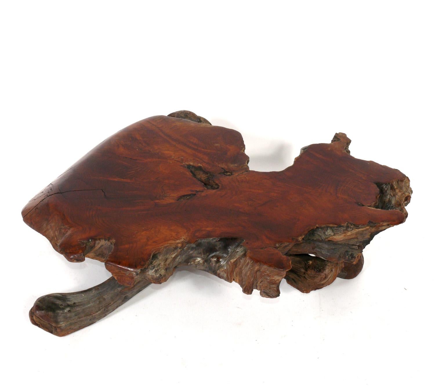 Japanese style low slung burl wood coffee table, probably American, circa 1950s. We believe it is constructed out of redwood and other solid woods. Versatile size can be used as a coffee table, side or end table, or display table. Retains warm
