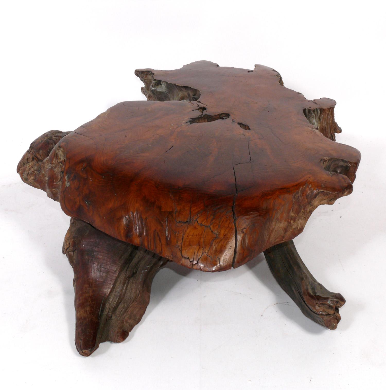 American Japanese Style Low Slung Burl Wood Coffee Table