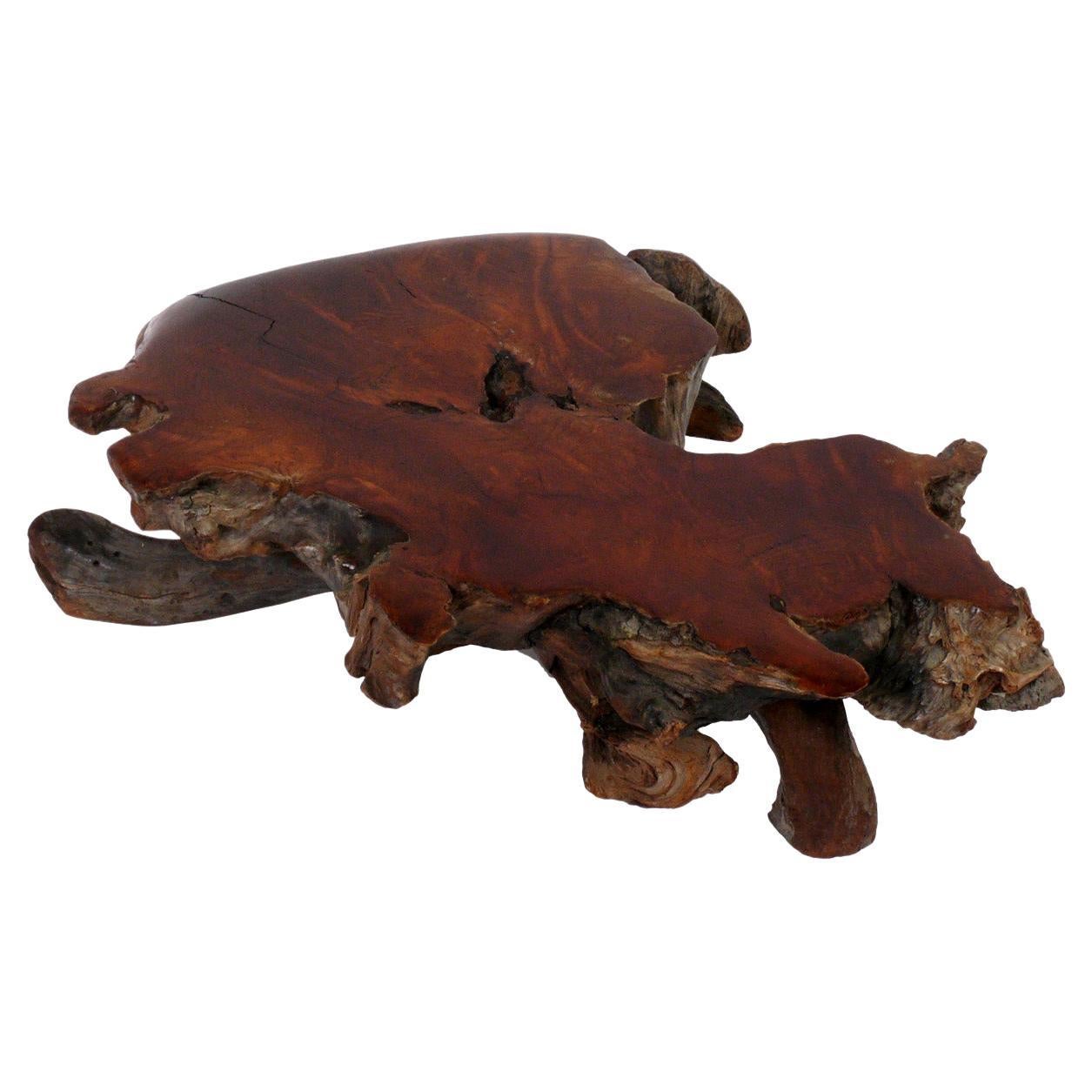 Japanese Style Low Slung Burl Wood Coffee Table