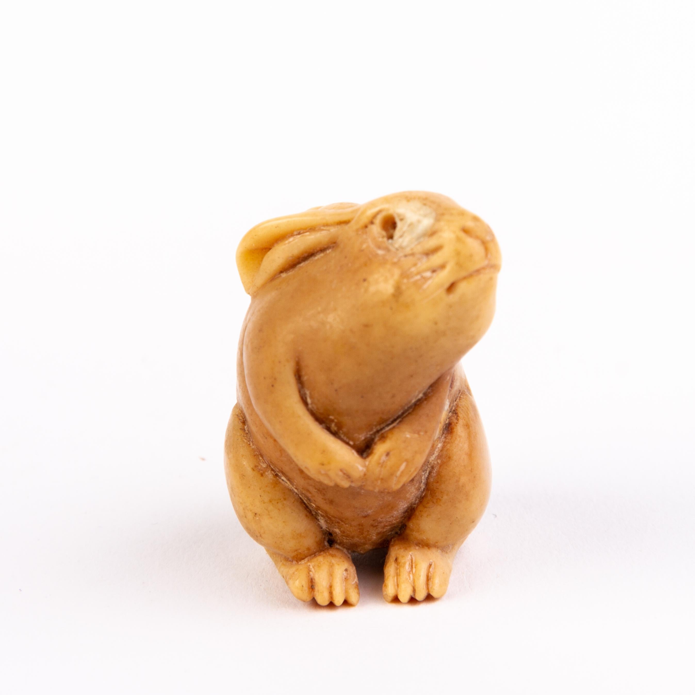 In good condition
From a private collection
Free international shipping
Japanese Tagua Nut Netsuke of a Rabbit