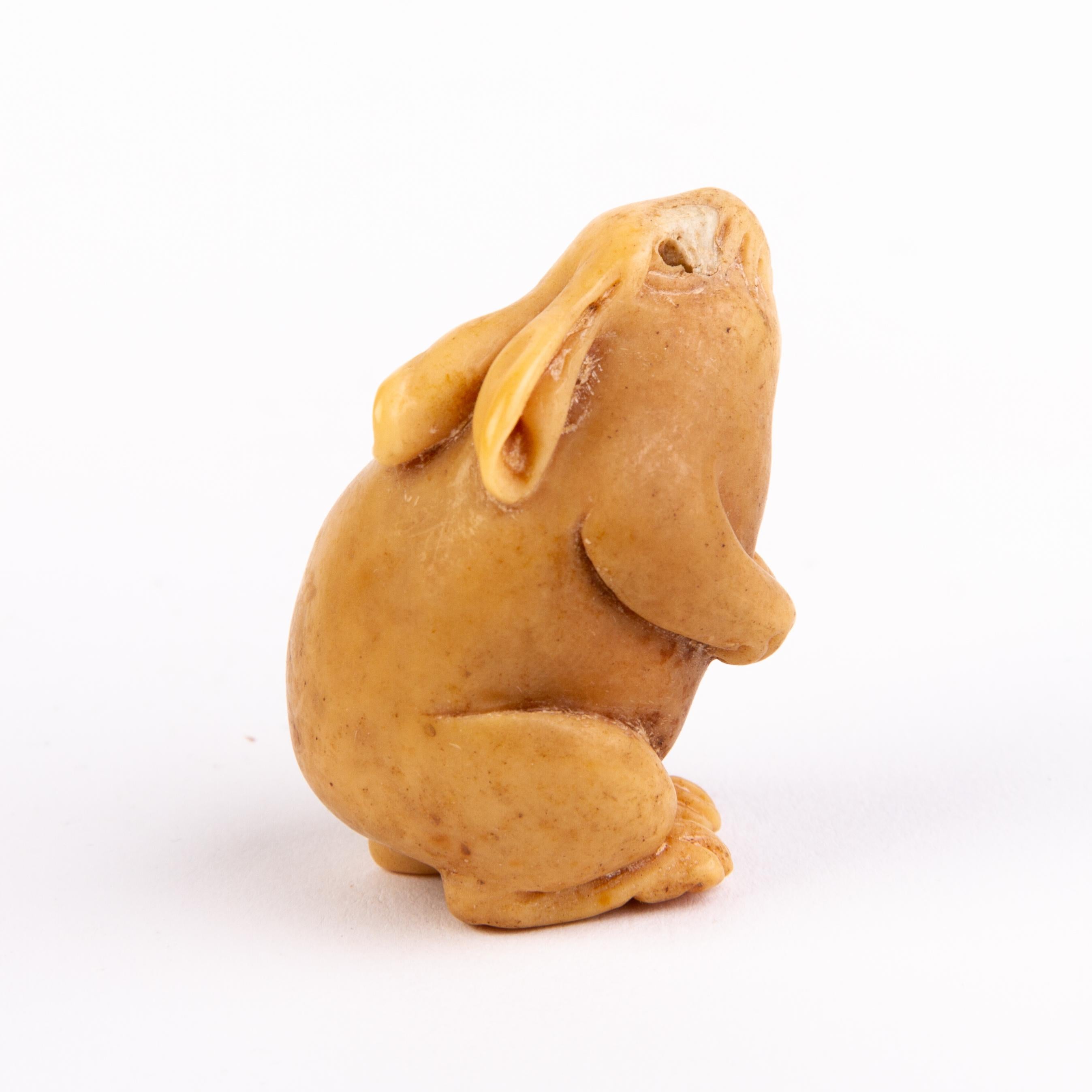 Japanese Tagua Nut Netsuke of a Rabbit In Good Condition For Sale In Nottingham, GB