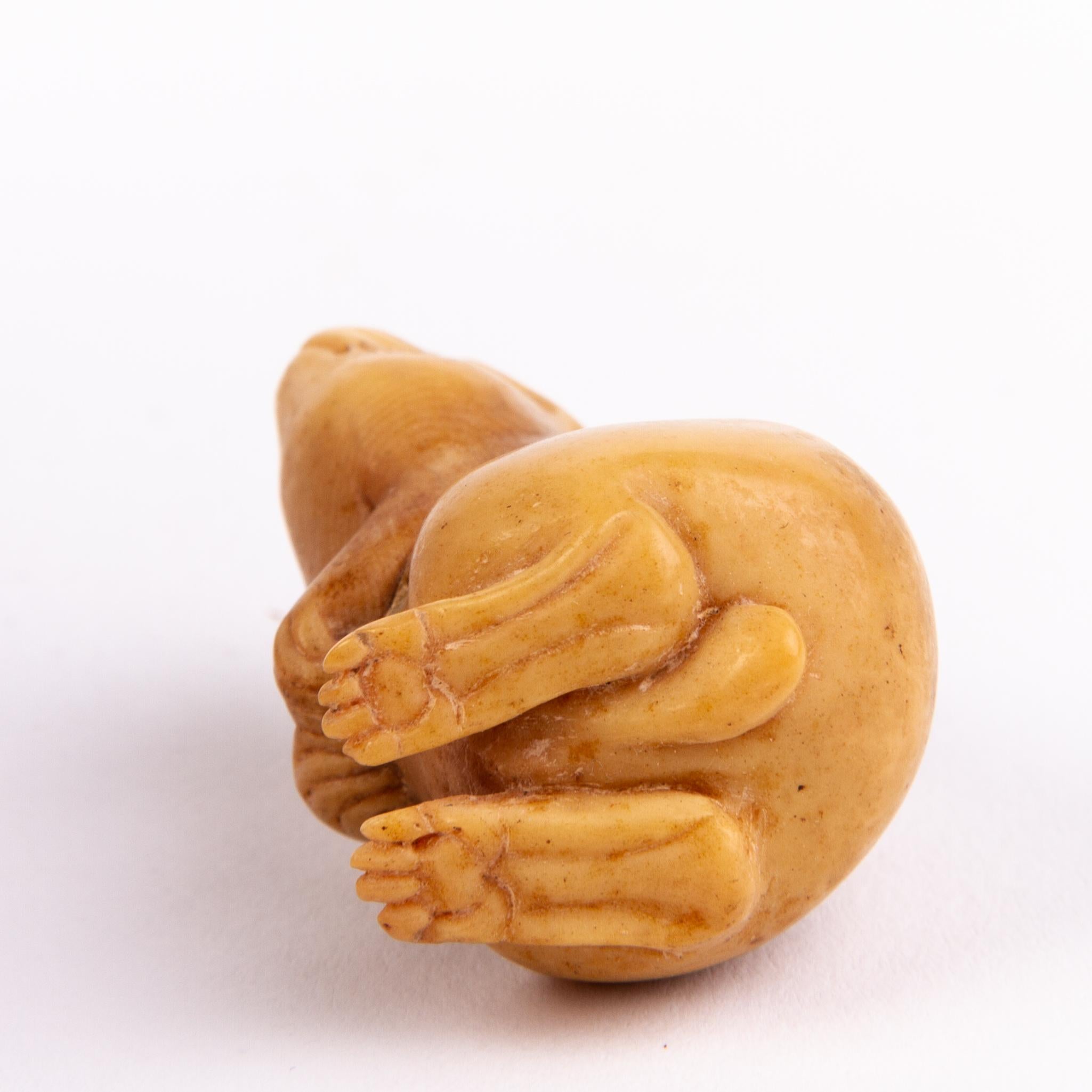 Walnut Japanese Tagua Nut Netsuke of a Rabbit For Sale