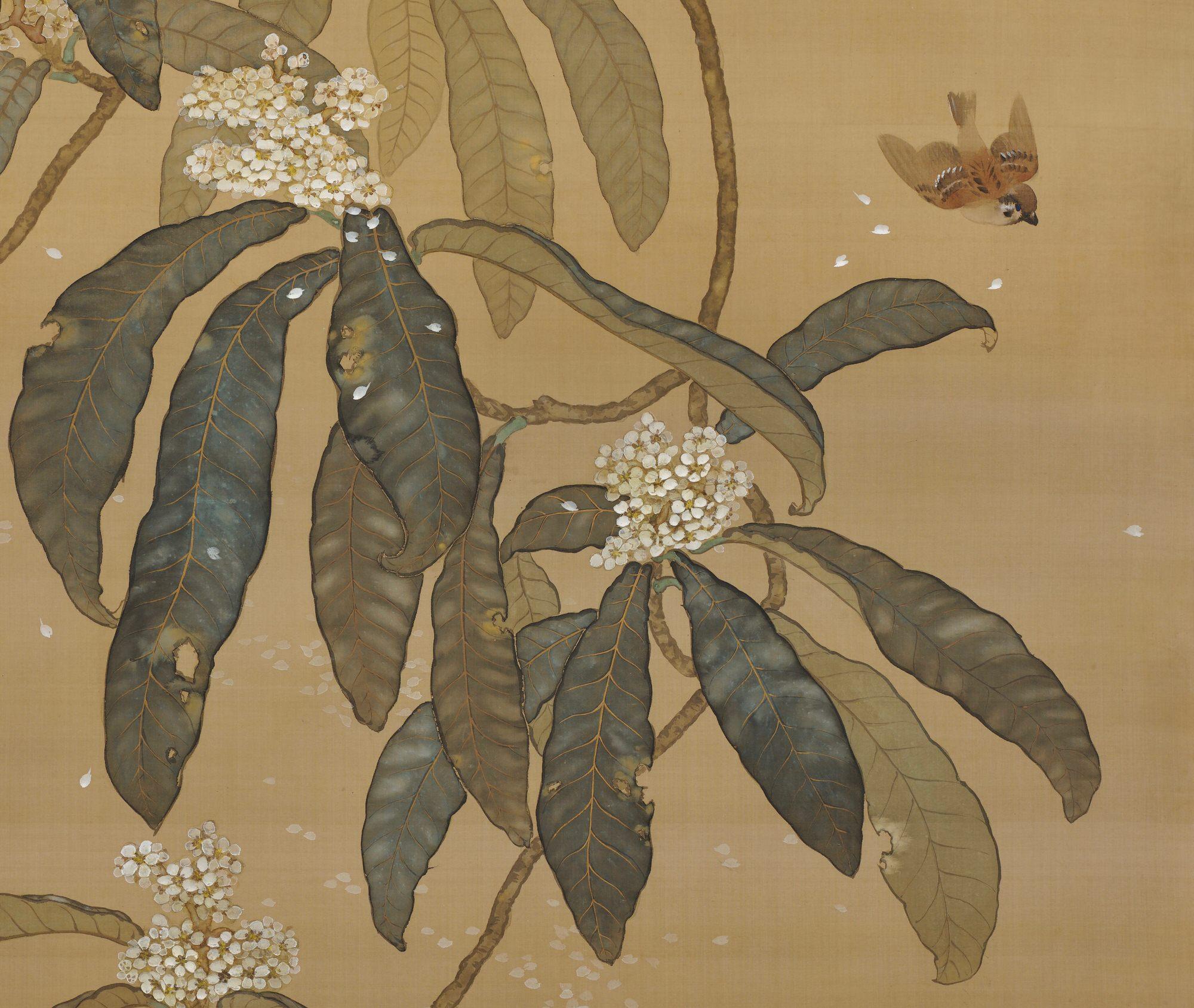 Saegusa Soko (1886-1947)
Loquat and Sparrows
Early Taisho period, circa 1910-1915
Hanging scroll painting. Mineral pigments, ink and gofun on silk
Signed: Soko 
Sealed: Soko
Dimensions:
Scroll: H. 221 cm x W. 103 cm (87” x 40.5”)
Image: H. 182 cm x
