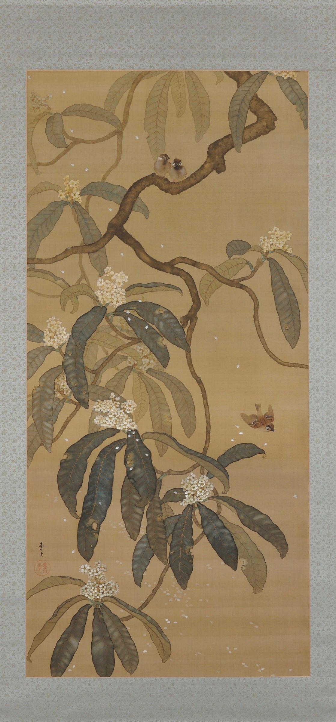 Japanese Painting, Hanging Scroll, Loquat and Sparrows, circa 1910-1915 Taisho  In Good Condition In Kyoto, JP