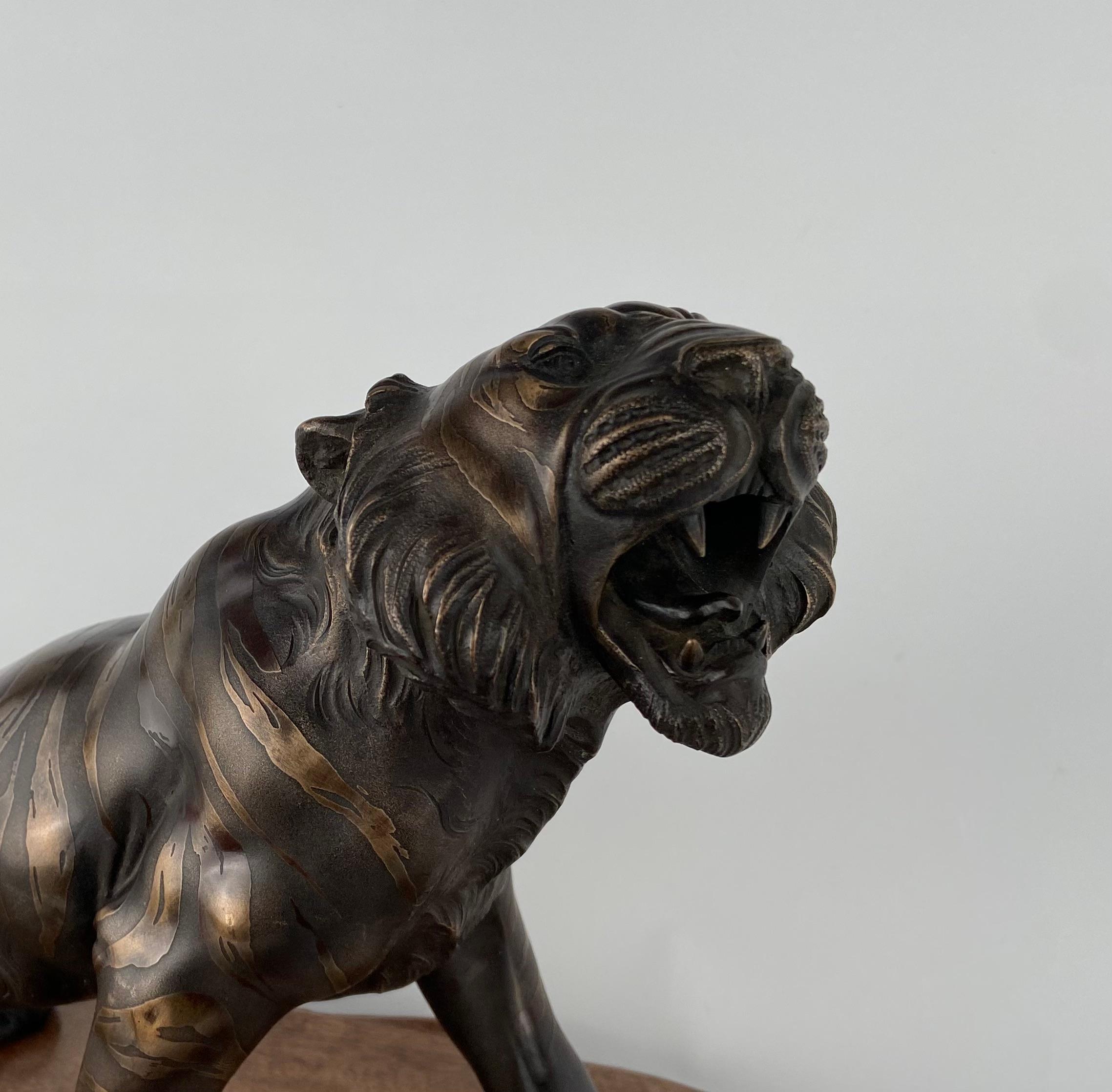 Japanese tiger in bronze on a wooden base, circa 1920.
Meiji periode.