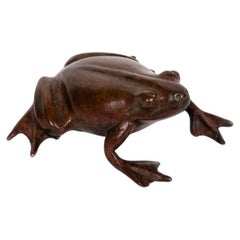 Japanese Tiny bronze frog