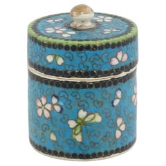 Caja japonesa Totai de esmalte cloisonné sobre porcelana