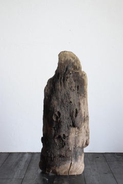 Japanese Tree Root Wabi-Sabi Partition /Screens Primitive/Wabisabi Objet