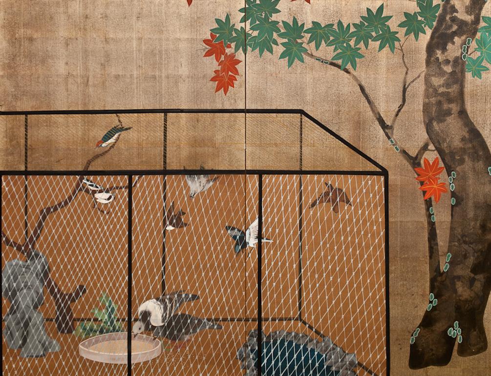 aviary screen