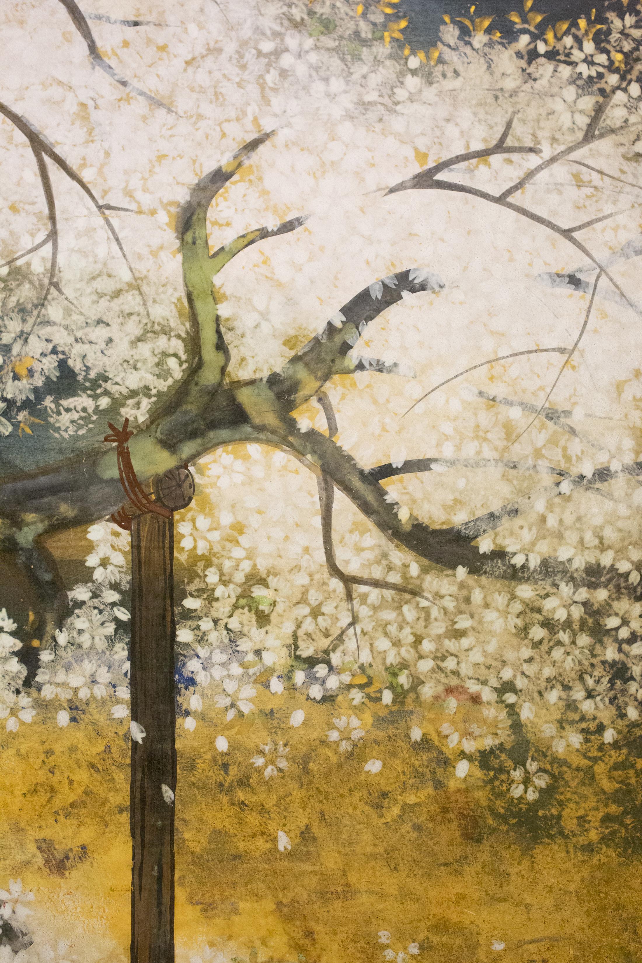 cherry blossom screen