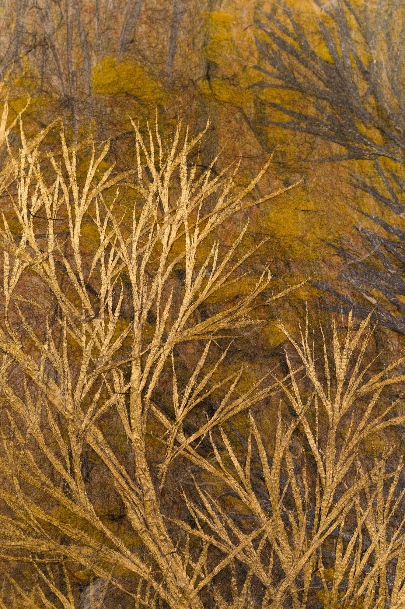 Foglia d’oro Paravento giapponese a due pannelli Foresta di fine autunno, raro paravento in carta Obara in vendita