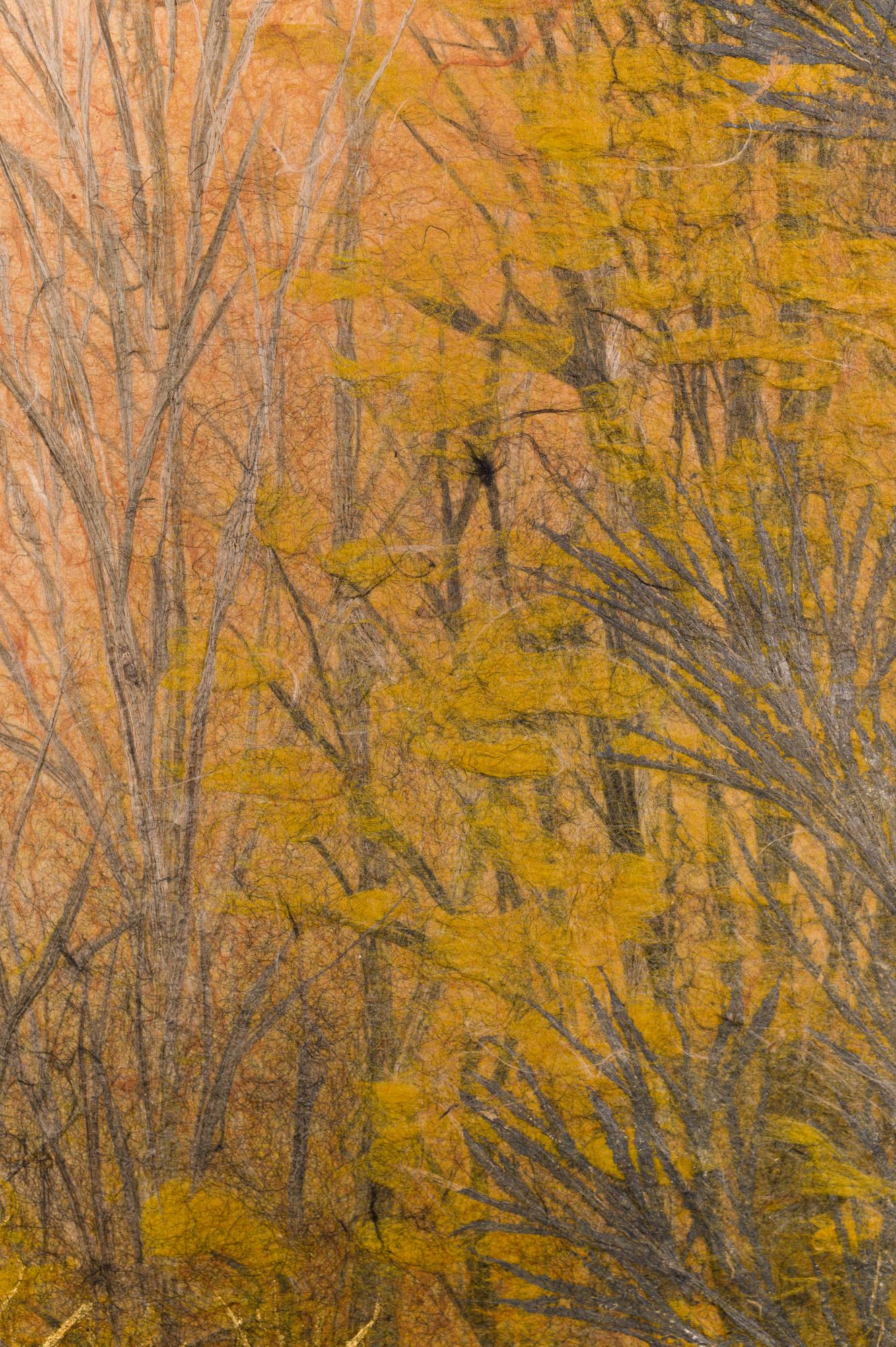 Paravento giapponese a due pannelli Foresta di fine autunno, raro paravento in carta Obara in vendita 2