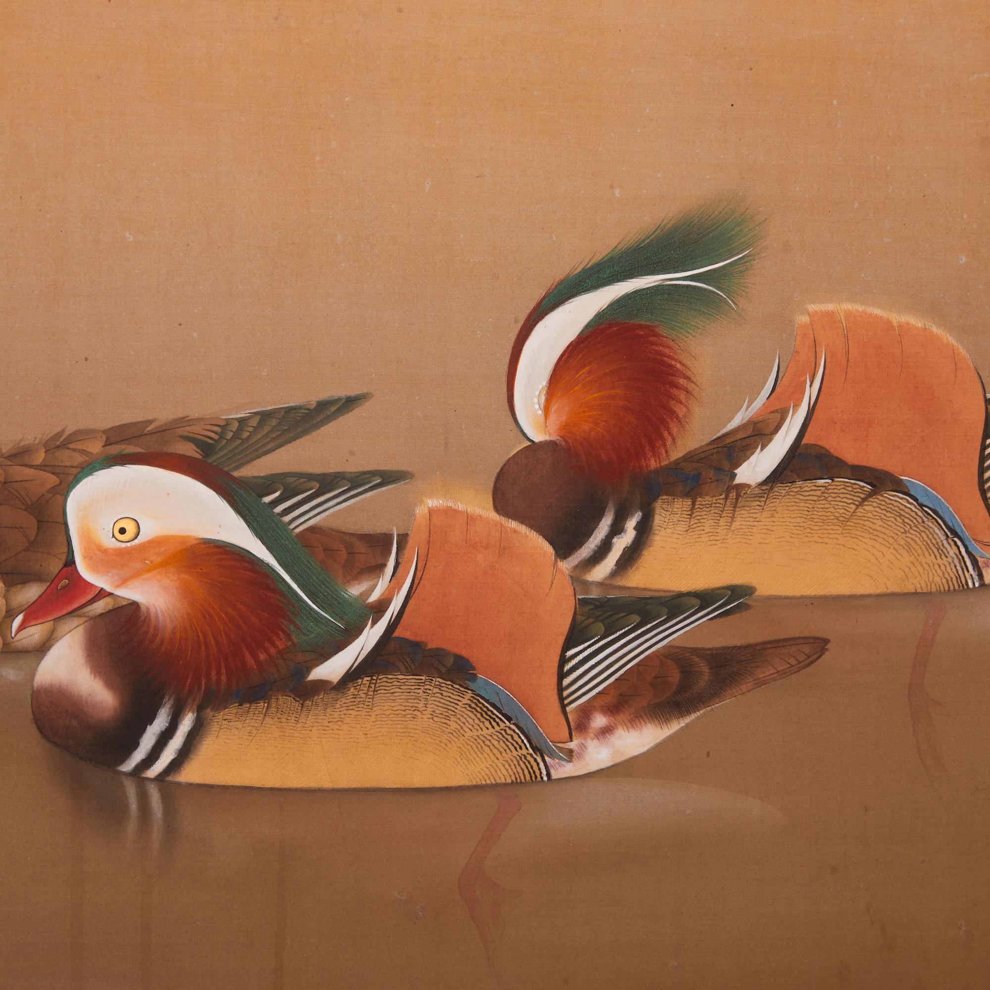 mandarin duckling for sale
