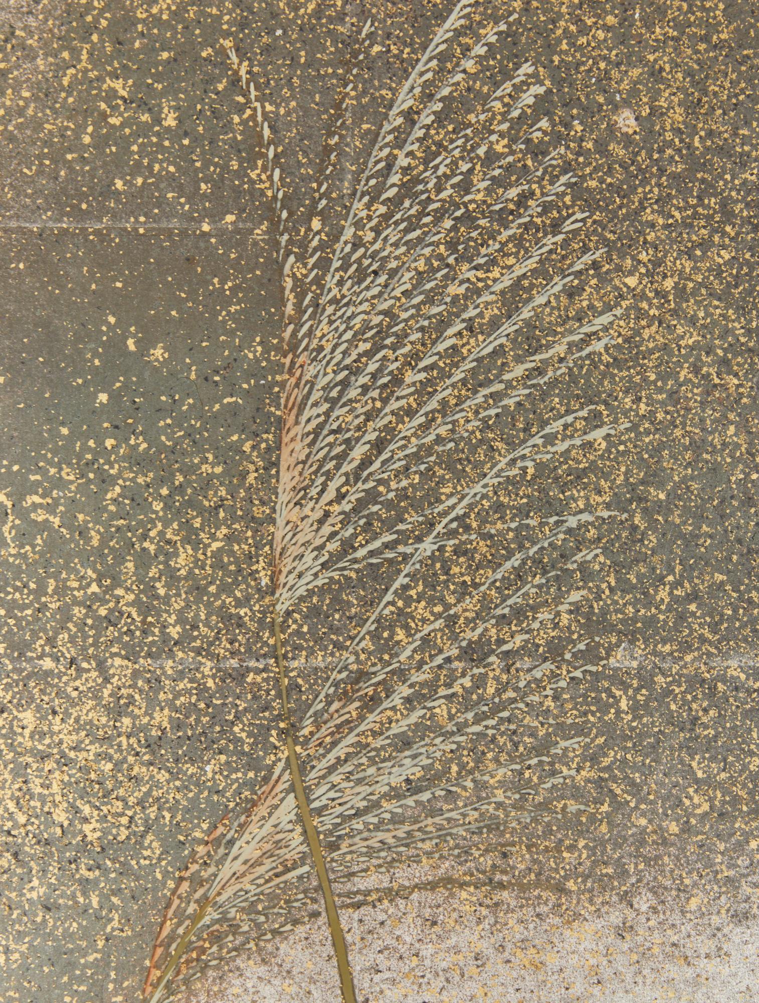 20th Century Japanese Two Panel Screen: Moon and Wild Grasses