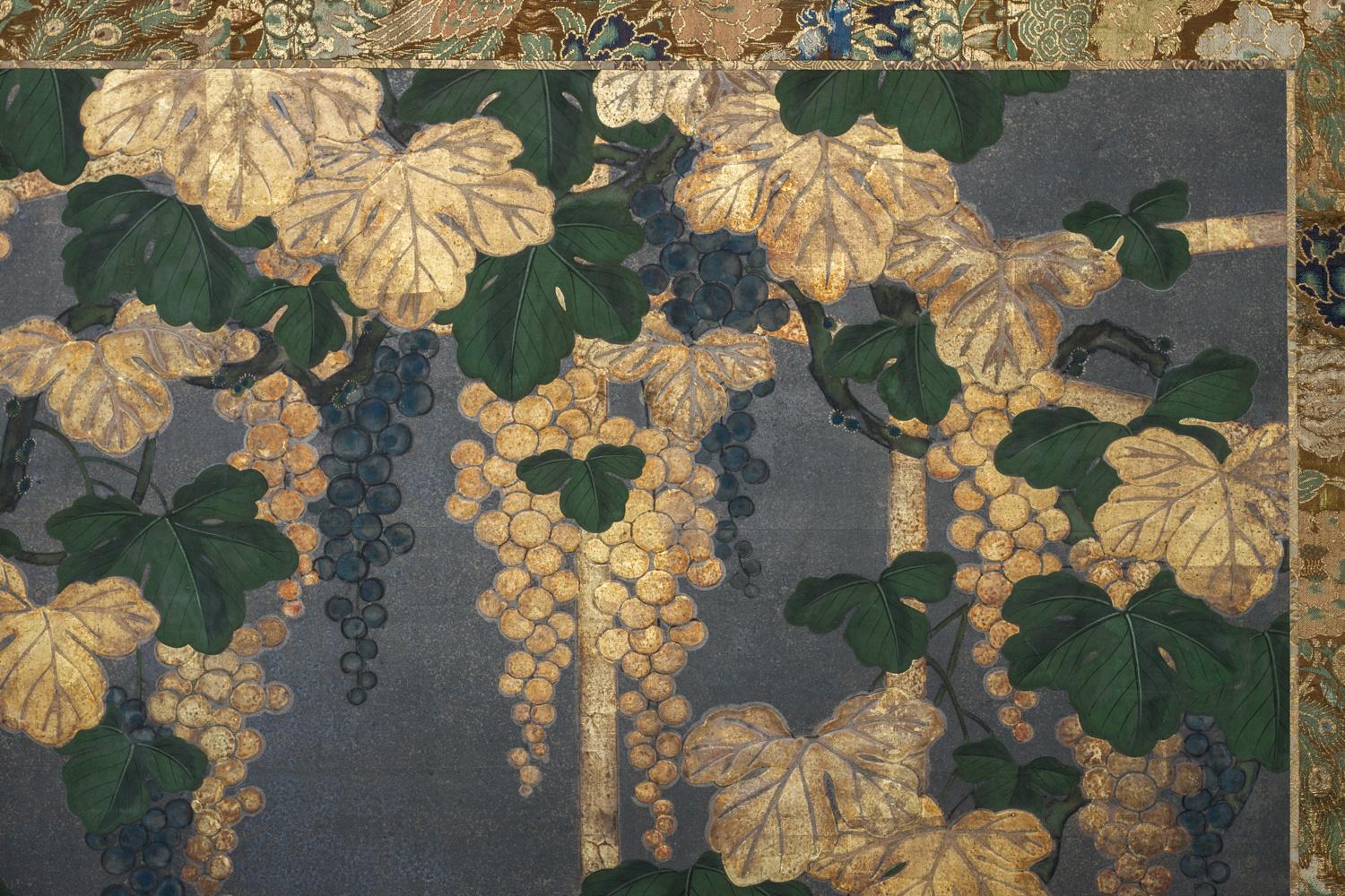 grape vine screen