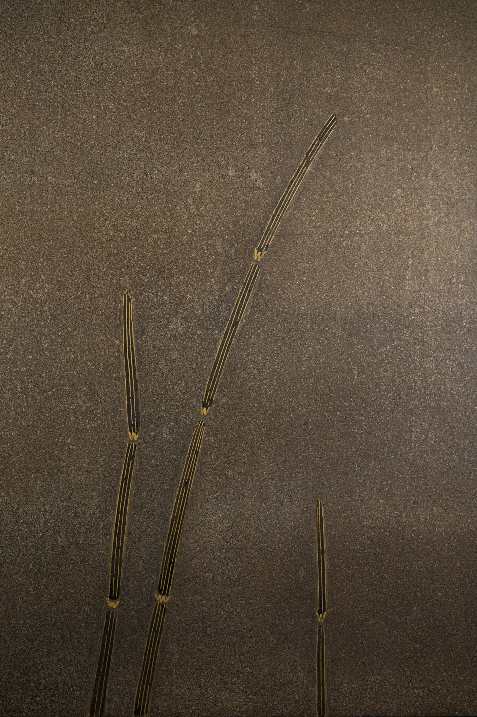 Japanese Two Panel Screen Wetlands Flora on Silver Leaf 5