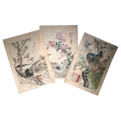 Antique Japanese Unique "Birds & Flowers" Hand Paintings Set Three Kono Bairei, 1899