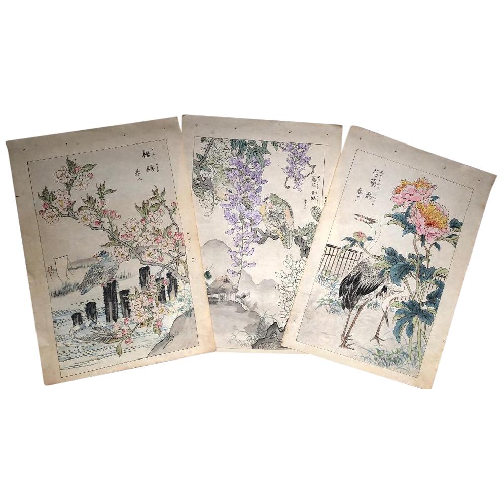Japanese Unique "Birds & Flowers" Hand Paintings Set Three Kono Bairei, 1899