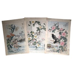 Japanese Unique "Birds & Flowers" Hand Paintings Set Three Kono Bairei, 1899