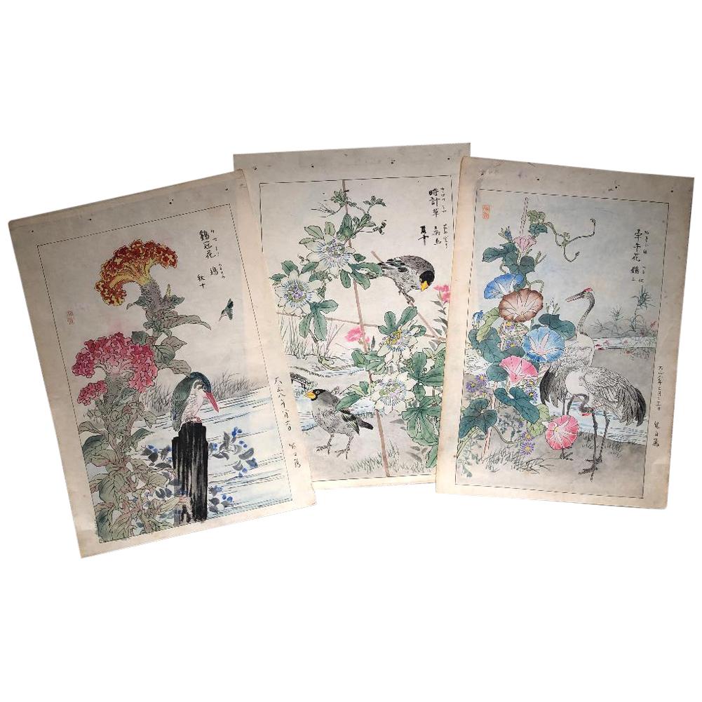 Japanese Unique "Birds & Flowers" Hand Paintings Set Three Kono Bairei 1899