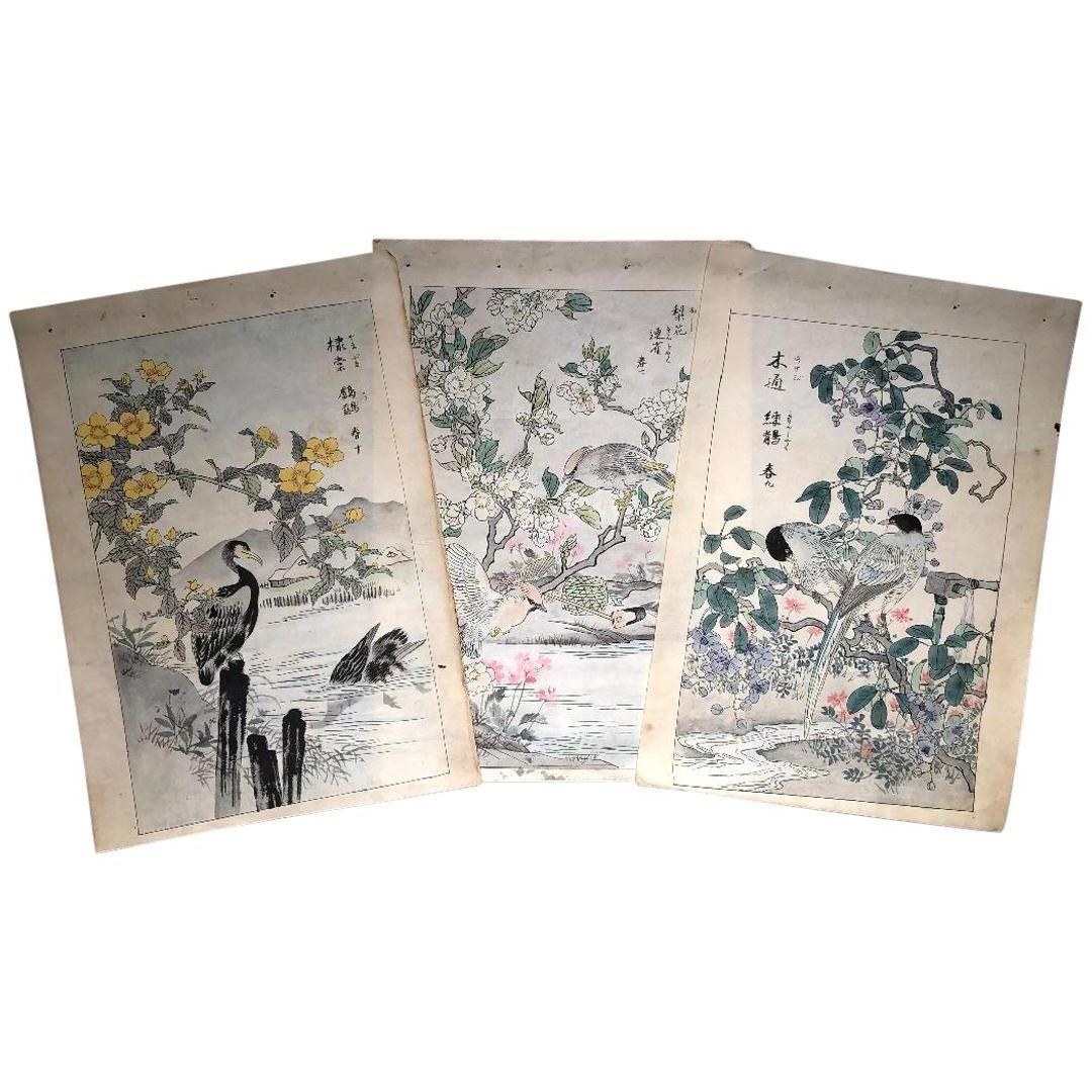 Japanese Unique "Birds & Flowers" Hand Paintings Set Three Kono Barei, 1899