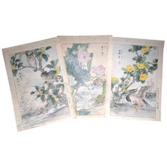 Antique Japanese Unique "Owls & Flowers" Hand Paintings Set of Three Kono Bairei 1899