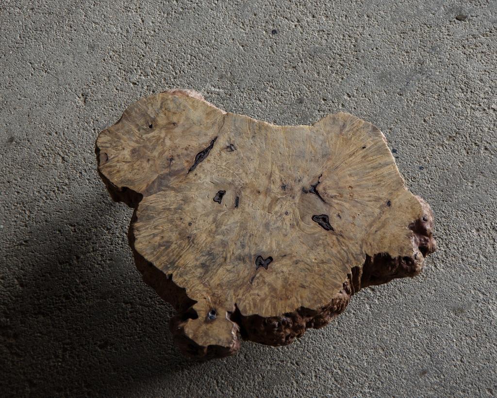 Japanischer Vintage Burl Wood Display Stand, frühe Showa Periode '1926-' im Angebot 3