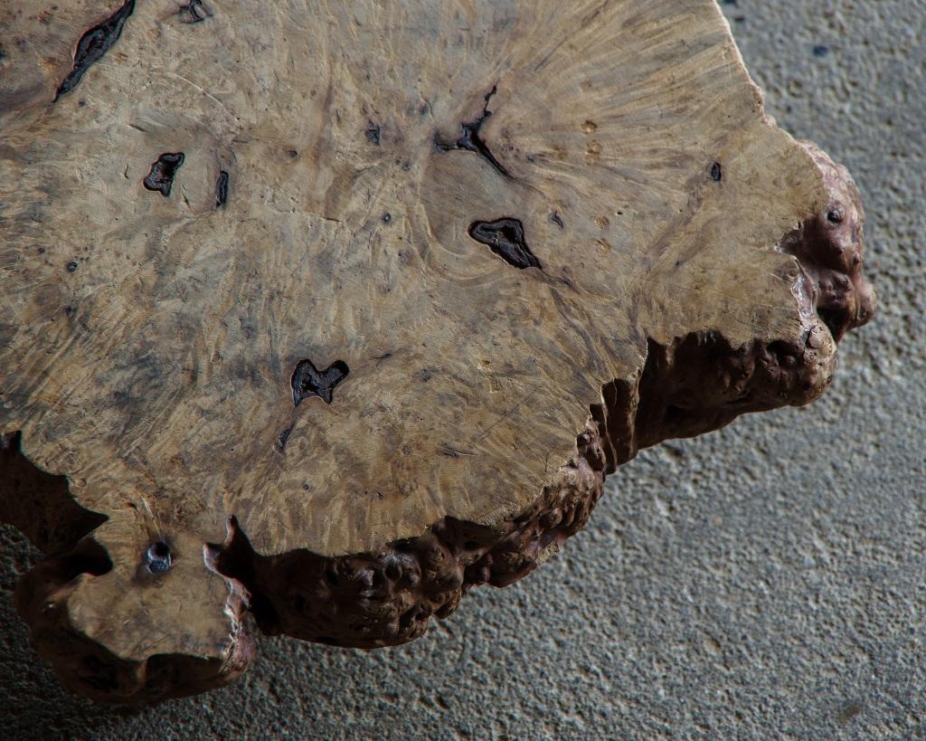Japanischer Vintage Burl Wood Display Stand, frühe Showa Periode '1926-' im Angebot 4