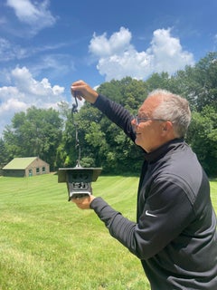 Japanese Vintage Dragonfly Lantern With Monkey Suspension Hooks