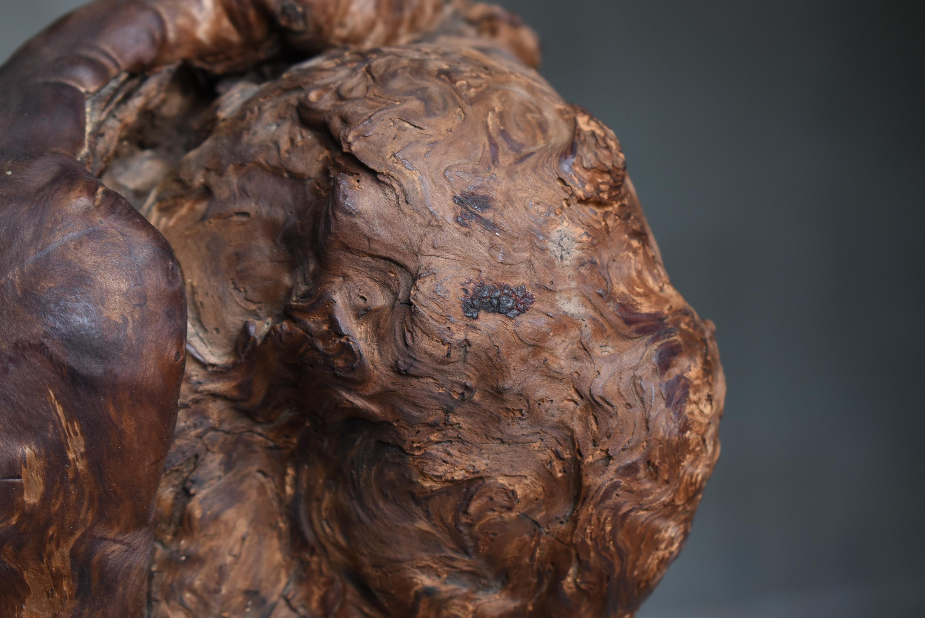 Sculpture japonaise Wabi-Sabi en loupe de Yakusugi / Natural Abstract Form Objects en vente 5