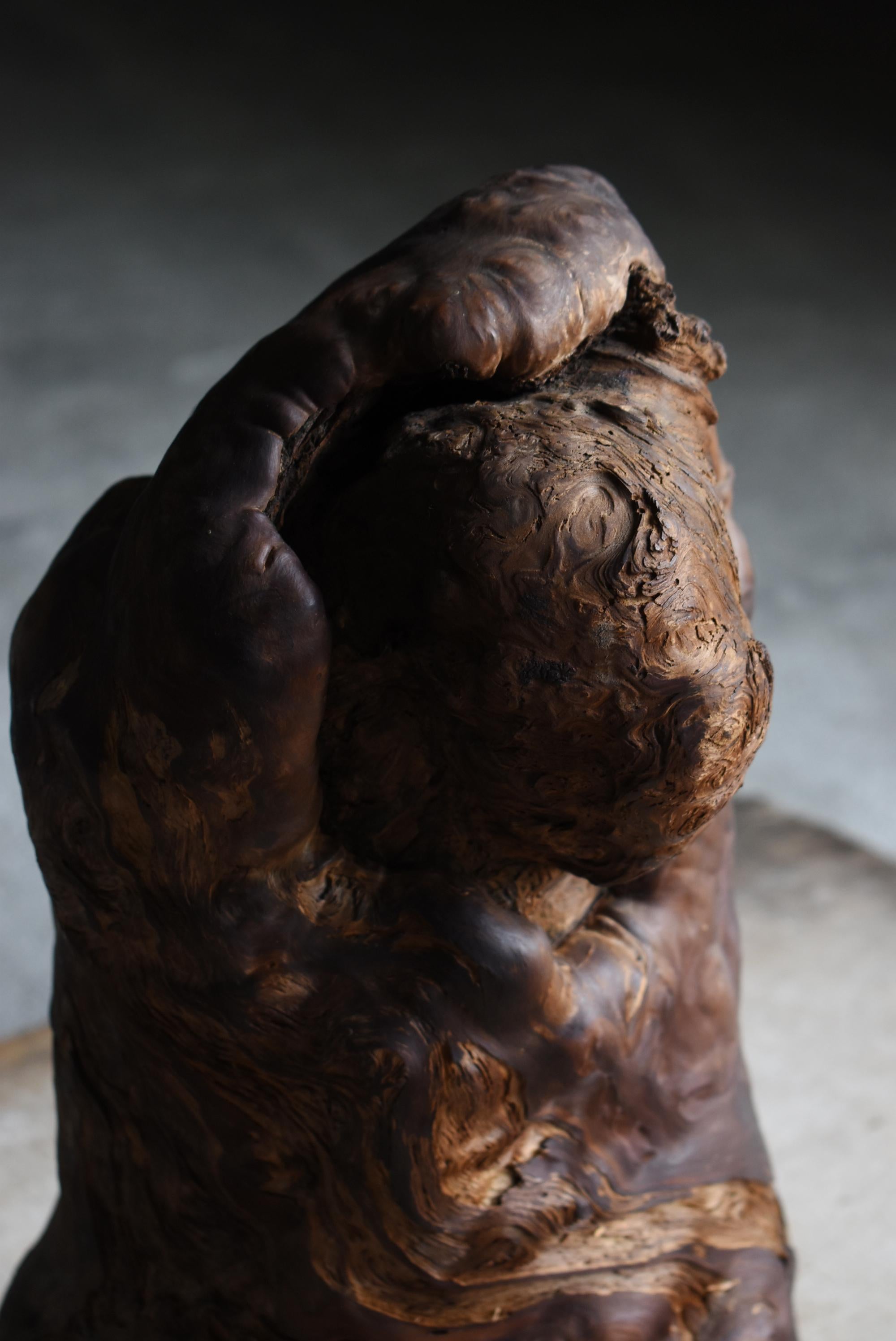 Japonais Sculpture japonaise Wabi-Sabi en loupe de Yakusugi / Natural Abstract Form Objects en vente
