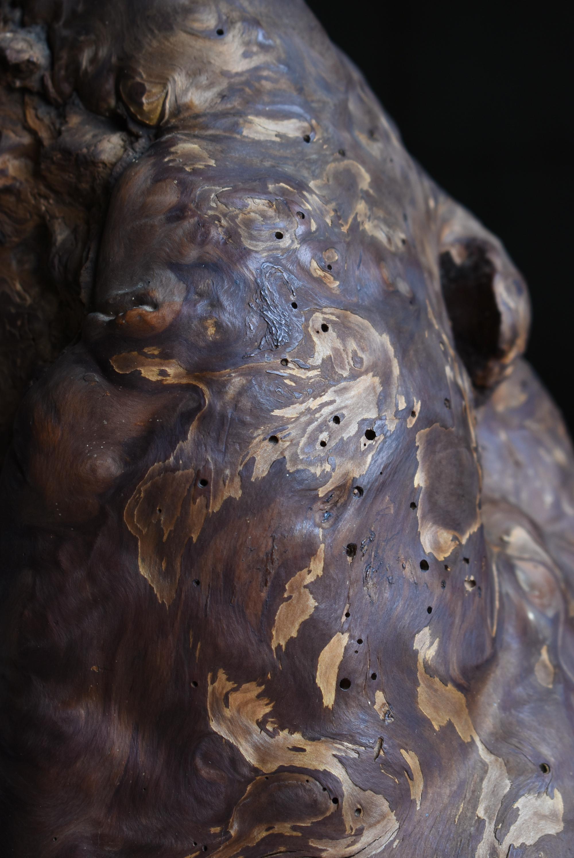 Cèdre Sculpture japonaise Wabi-Sabi en loupe de Yakusugi / Natural Abstract Form Objects en vente