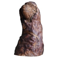 Japanese Wabi-Sabi Yakusugi Burl Sculpture / Natural Abstract Form Object