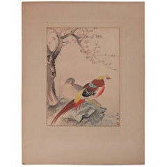 Vintage Japanese Watercolor Painting "Gold Pheasants" by Hobum, Chop Mark Signed