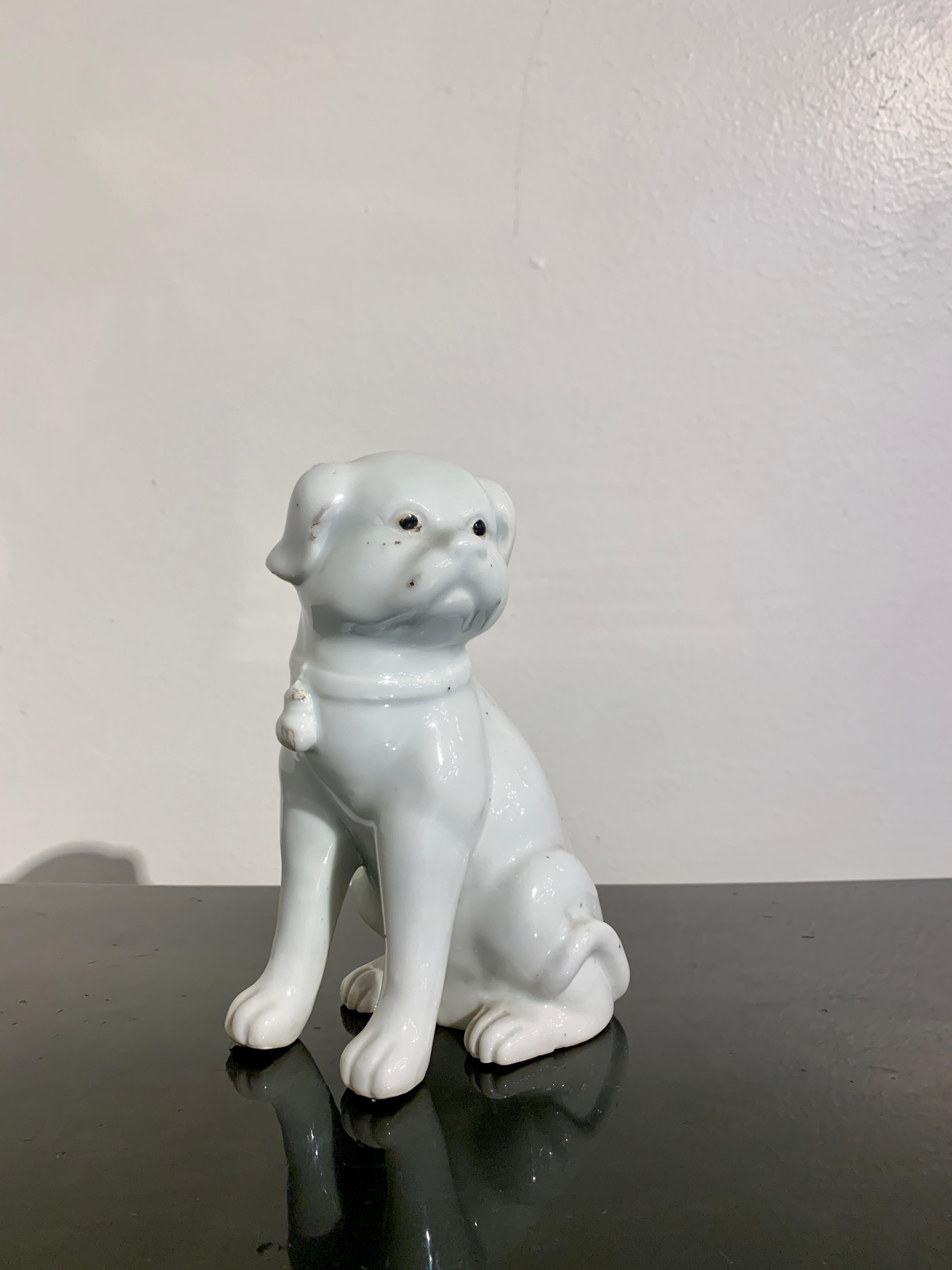 An absolutely adorable Japanese Hirado Mikawachi ware white glazed porcelain model of a puppy dog, Edo to Meiji period, early to mid 19th century, Japan.

The cute puppy is portrayed seated upon his haunches, head turned, his long tail slightly