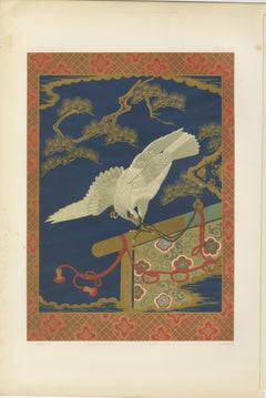 Japanese White Hawk on Pine Branch: Antique Lithograph, 1880s