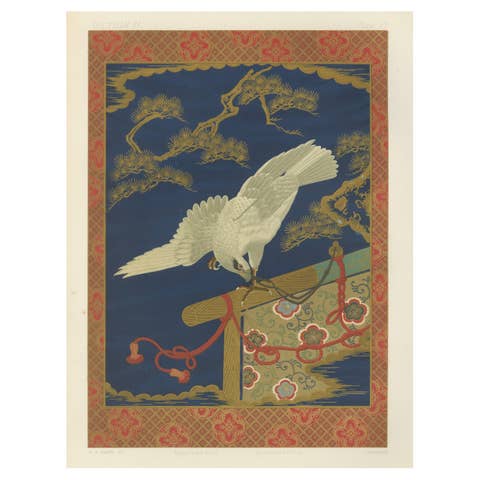 Japanese White Hawk on Pine Branch: Antique Lithograph, 1880s