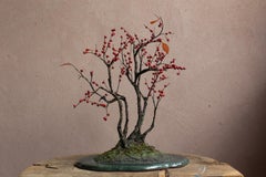 Japanische Winterbeere Yose-ue von Yumiko Kuwahata / Bonsai / wabi-sabi