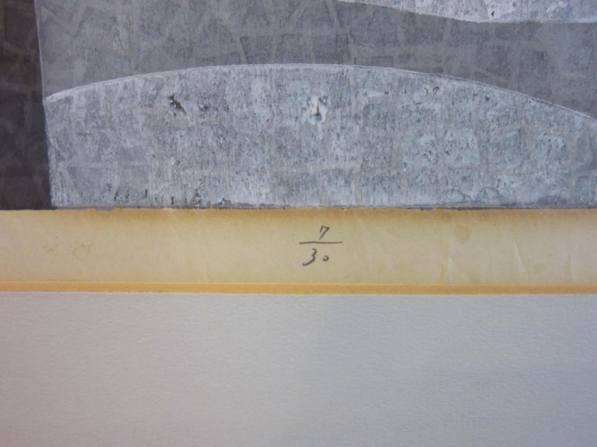 Paper Japanese Wood Block Print by Mabuchi Toru
