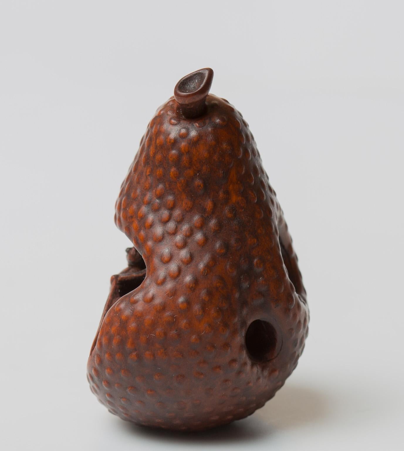 Japanese Wood Netsuke with a Wasp in a Pear, Nagoya School, 19th Century 6