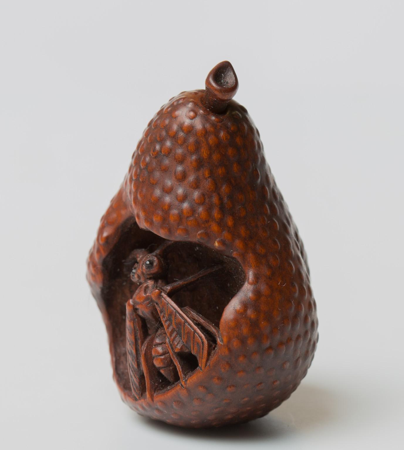 Japanese Wood Netsuke with a Wasp in a Pear, Nagoya School, 19th Century 7