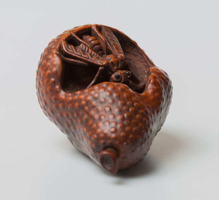 https://a.1stdibscdn.com/japanese-wood-netsuke-with-a-wasp-in-a-pear-nagoya-school-19th-century-for-sale-picture-3/f_42502/1542638698960/Netsuke_Kogetsu_wasp_1155_02_master.jpg?width=768